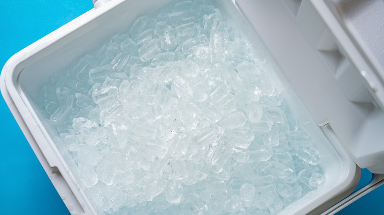 Cooler filled with ice