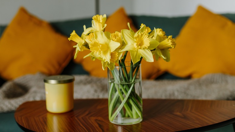 yellow daffodils in vase