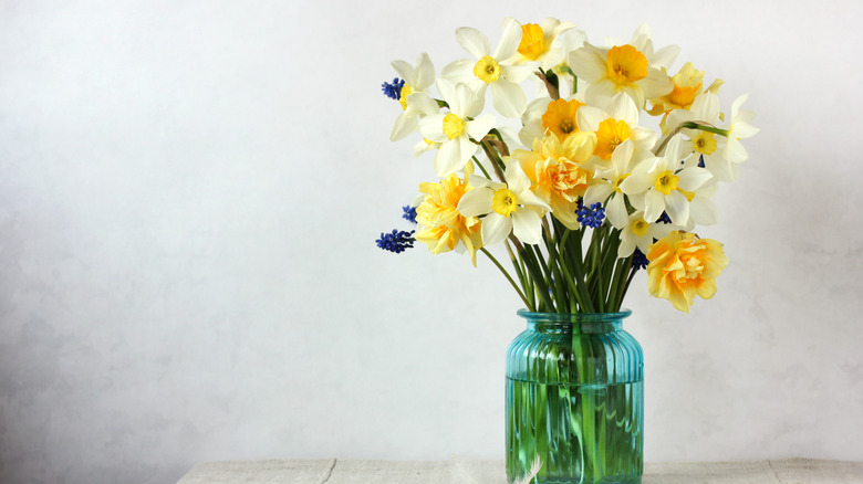 Yellow and white daffodils with other flowers in vase
