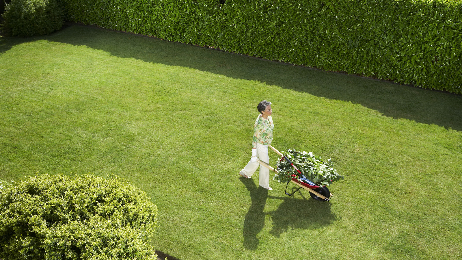 This Unexpected Epsom Salt Hack Keeps Your Lawn Bright Green