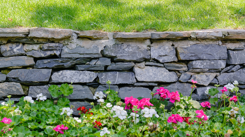 Stone retaining wall with flowers planted in front