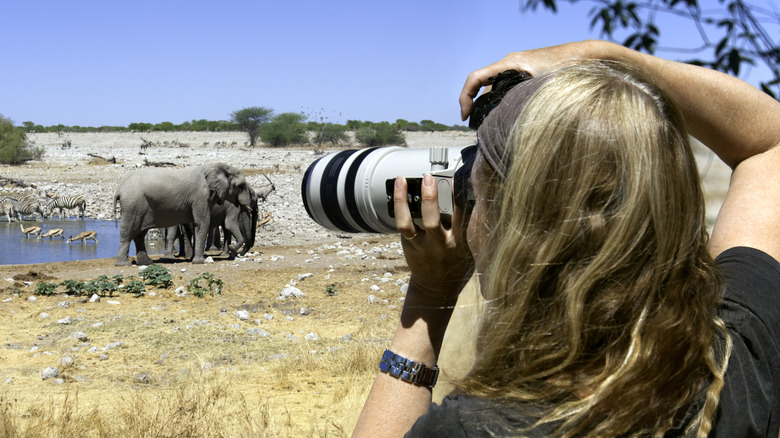 Woman using camera with lens to take photo of zebra, gazelle, and elephants at a watering hole