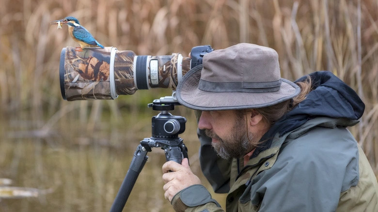 Man trying to take photos of wildlife while a bird with fish sits on the camera