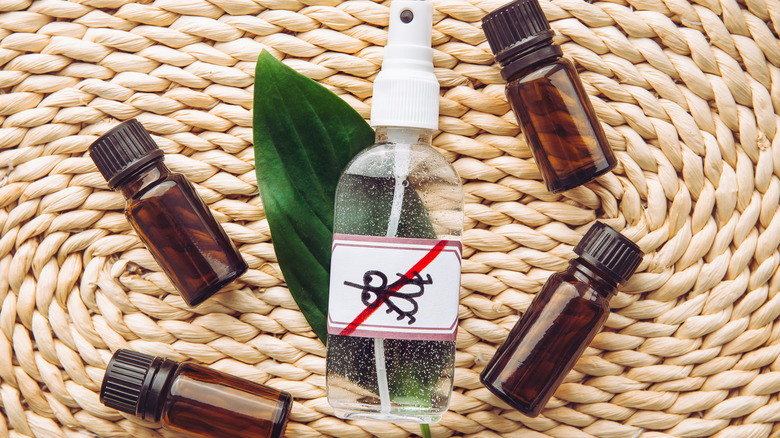Essential oil bottles and spray bottle containing bug repellent