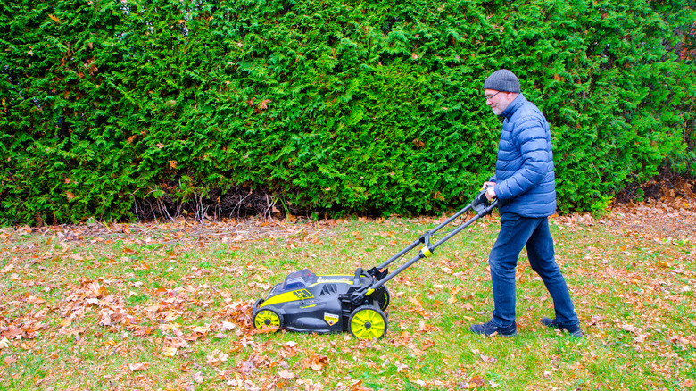 Man moving over leaves and grass