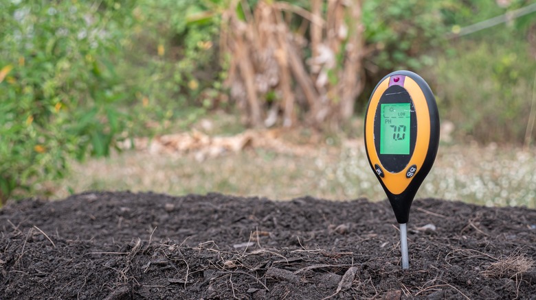 Soil pH measurement device in soil reading '7.0'