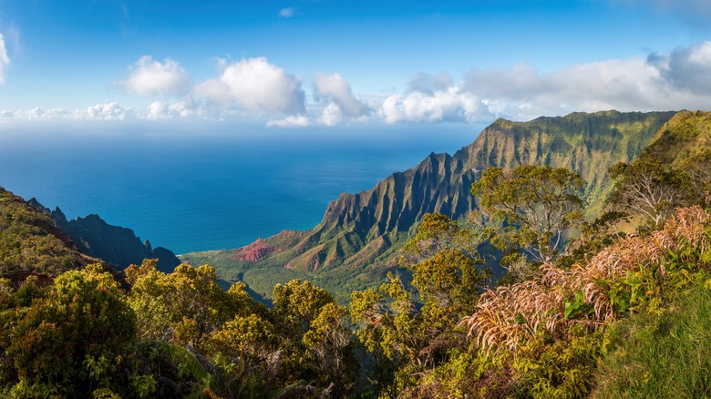 Pacific Ocean and mountains in Hawaii