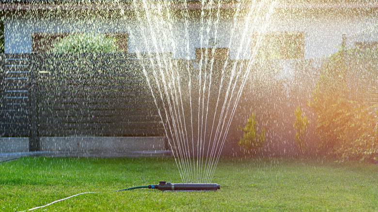 lawn sprinkler watering lawn