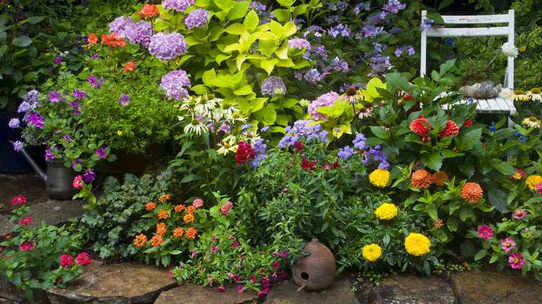 Colorful and bright garden