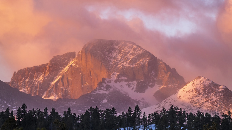 Longs Peak above forest, pink sky