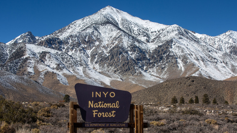 Mt Whitney in background, with Inyo National Forest sign in front