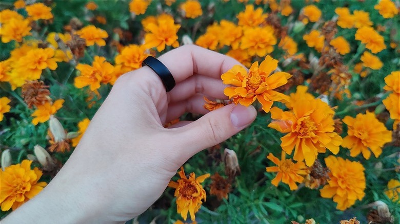 Person wearing RingConn and touching flowers