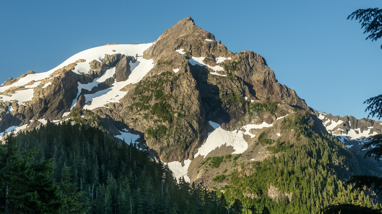 Mount Olympus in Olympic National Park