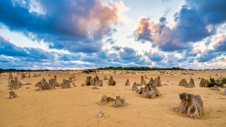 Pinnacles National Park