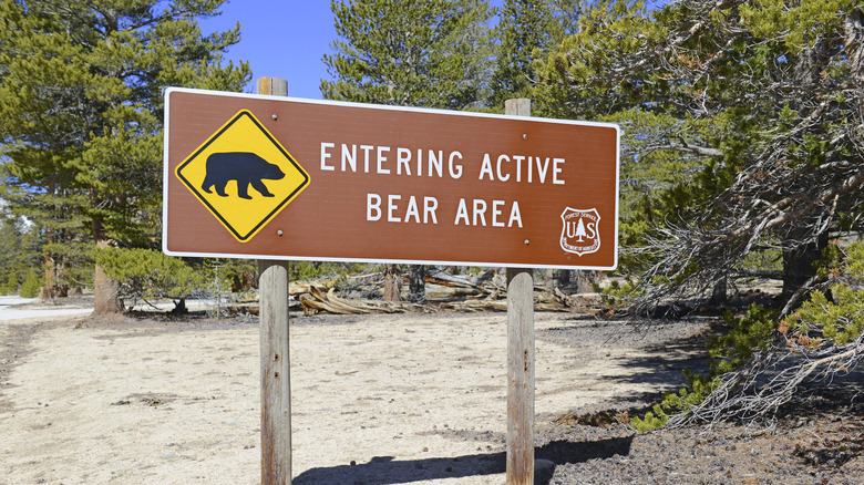 Bear warning sign