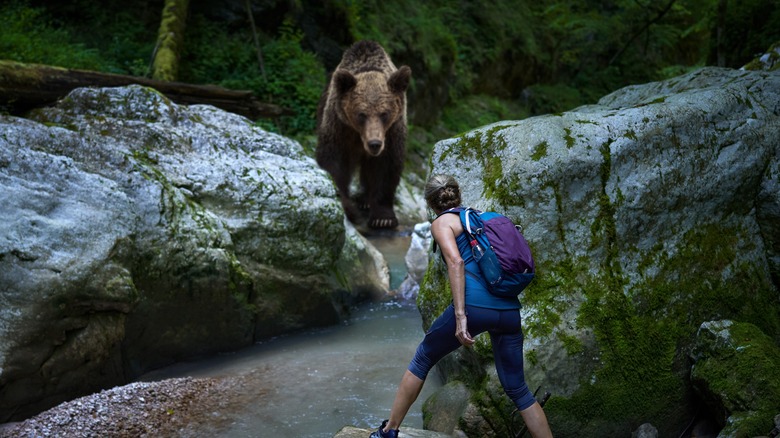 woman encountering a grizzly bear 