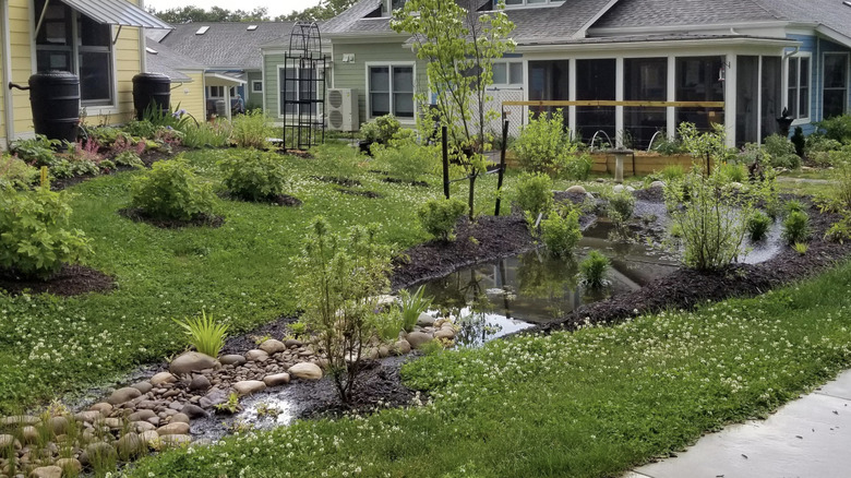 Residential rain garden