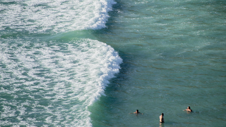 swimmers near rip current