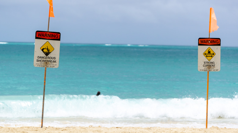 shorebreak warning sign