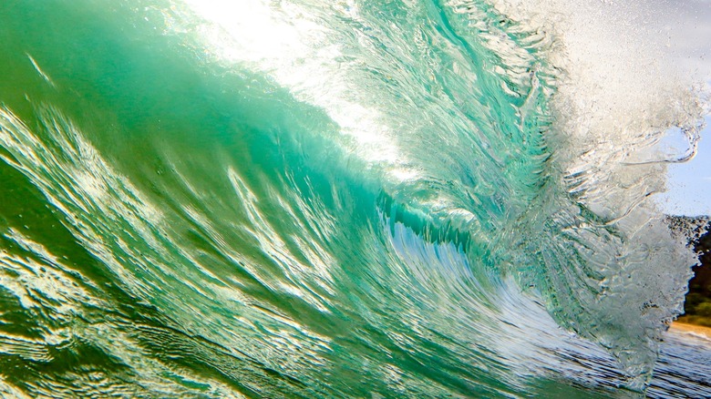 shorebreak wave