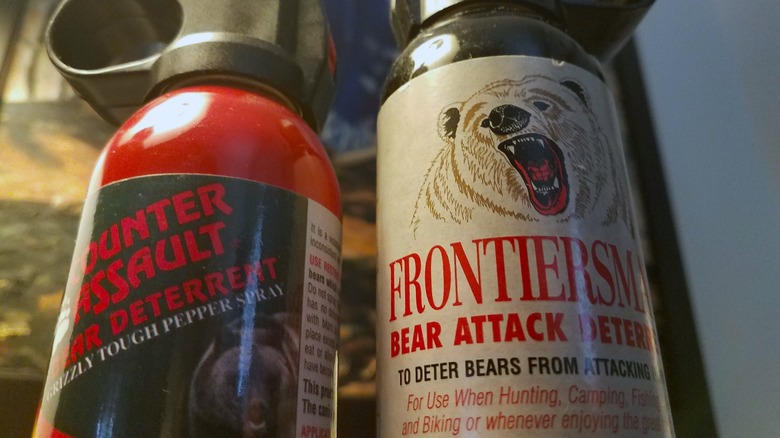 bear spray