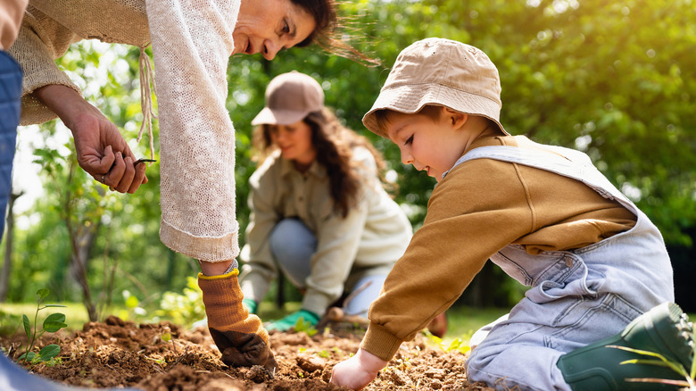 Family gardening together