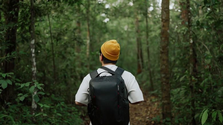 Man alone in forest