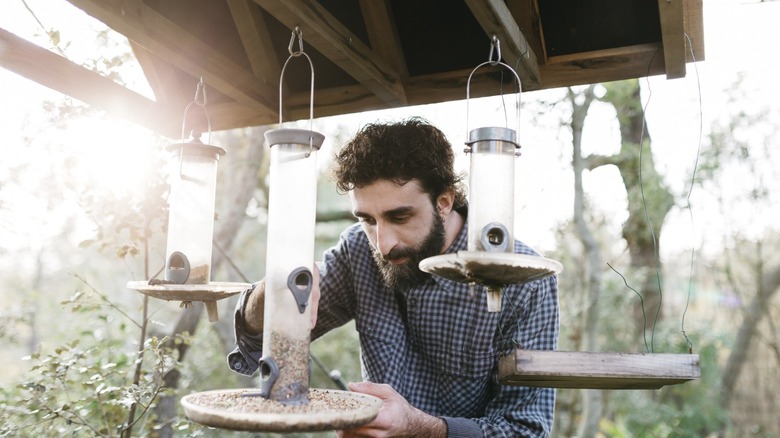 A man checking one of multiple bird feeders under a wooden structure