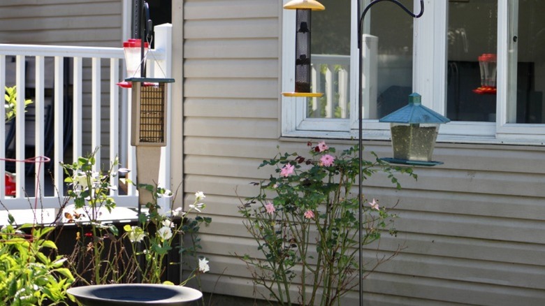 A collection of different types of bird feeders near a home