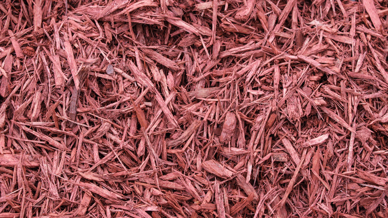 Red cypress mulch in a pile