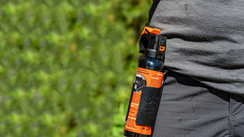 Bear spray attached to hiker's belt