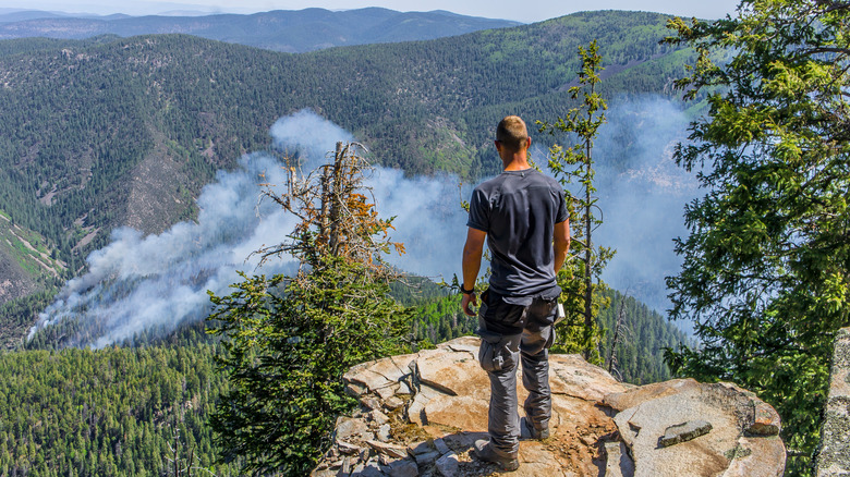 Man on mountain near wildfire