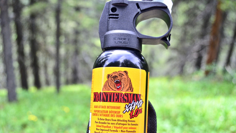 bear spray canister