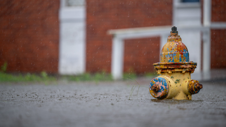 Rising water during flash flood fire hidrant