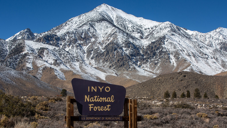 Snow covered mountains in Inyo National Forest