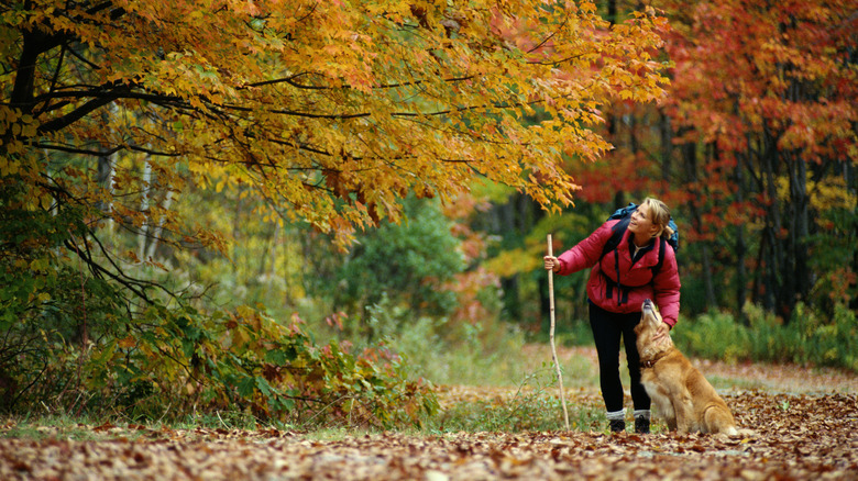 Woman hiking in the fall with dog