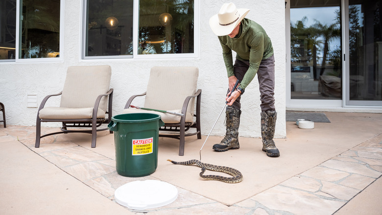 a man in hat removing a snake on a patio