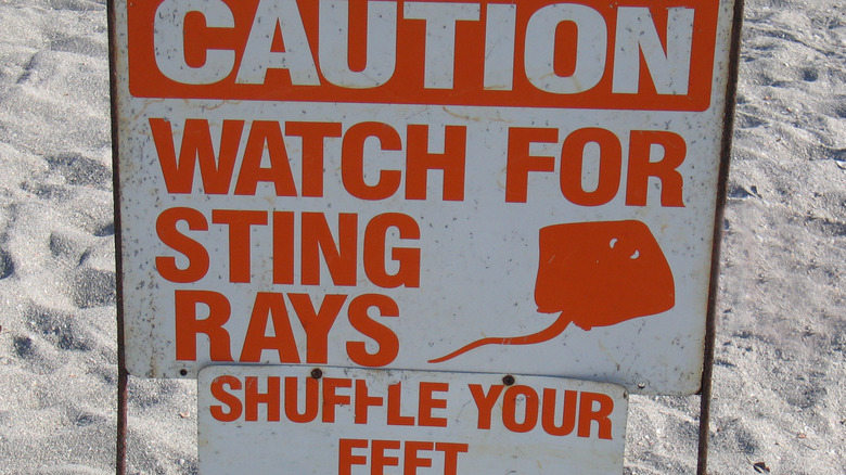 Stingray caution sign