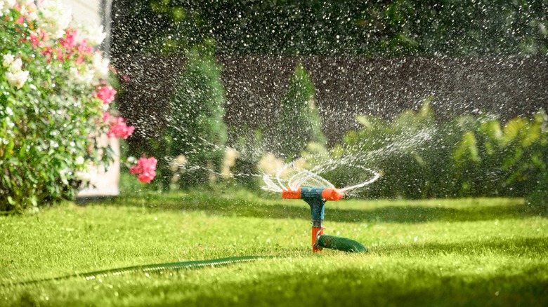 lawn sprinkler watering grass
