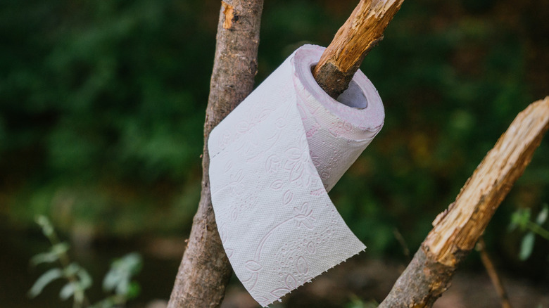 A roll of toilet paper on a branch outside