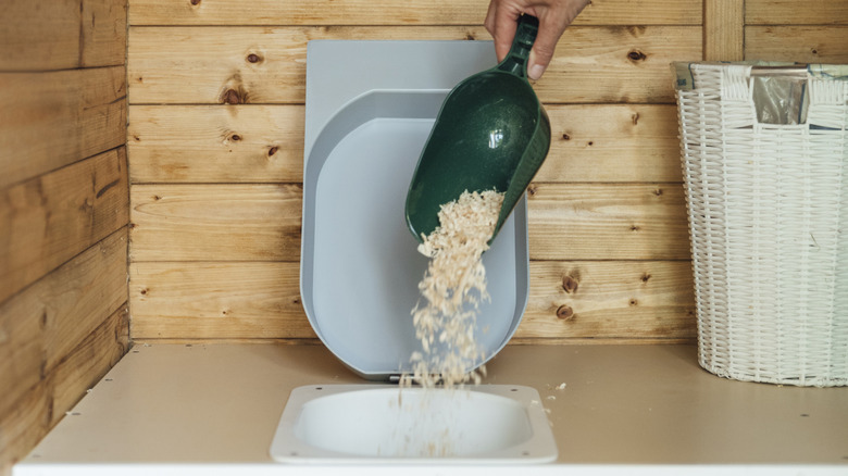 Someone pouring sawdust into a composting toilet