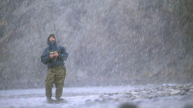 Angler fishing in the rain, looking up