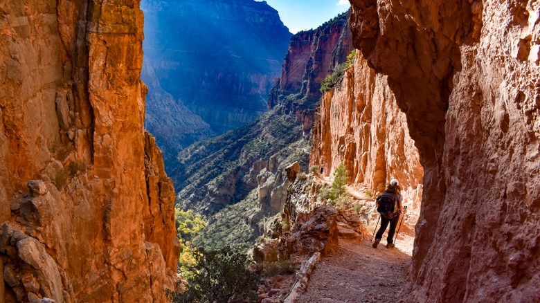 Female hiker in the Grand Canyon