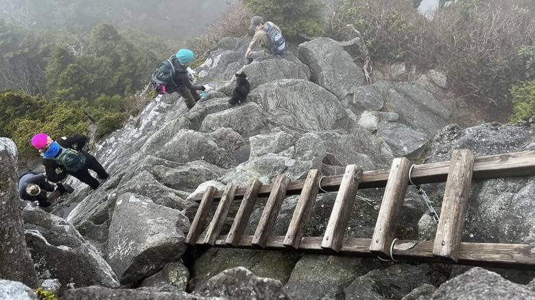 Hikers on Grandfather Trail ladders in the fog