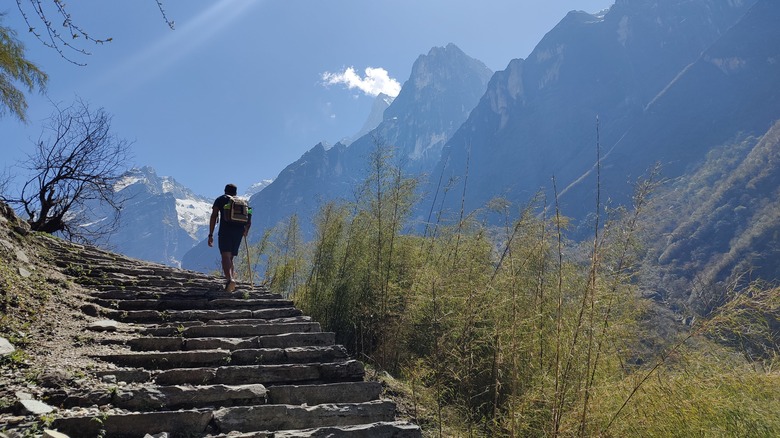 Annapurna base camp trail stairs