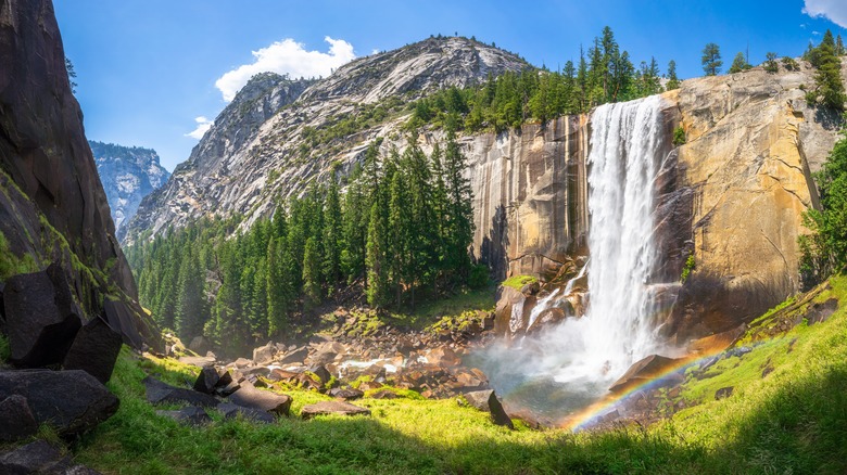 Waterfall in Yosemite National Park