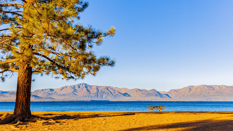 Zephyr Cove, view of water and mountains