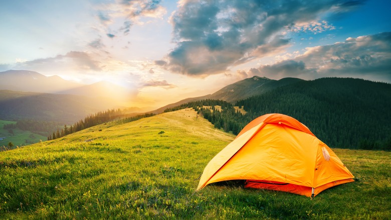 yellow tent at sunrise