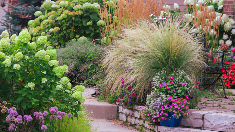 Garden path with ornamental grass