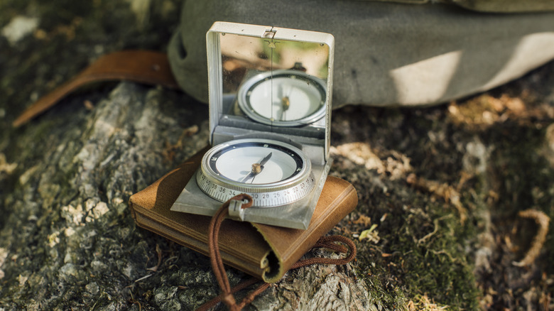 compass and mirror balancing on log